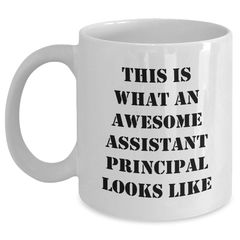 Funny Assistant Principal Gifts, White Coffee Mug for, Gifts from Family or Friends to Assistant Principal for Father's Day - Main