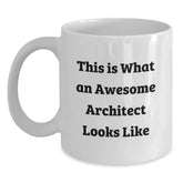 Funny Quotes for Architects, White Coffee Mugs Gifts from Friends, Unique Christmas Unique Gifts for Men Architects, This Is What An Awesome Architect Looks Like - Main