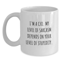Funny CFO Gifts, White Coffee Mug with Sarcasm Quote, Gifts from Coworkers to CFO, Perfect Graduation Unique Gifts for Men - Main