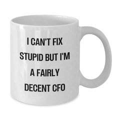 Funny CFO Gifts for Men, Christmas Unique Ideas, White Coffee Mug for CFO's with 'I Can't Fix Stupid But I'm A Fairly Decent CFO' Quote, Gifts from Friends to CFO - Additional