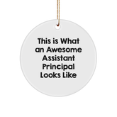 Funny Assistant Principal Gifts for Christmas - 'This Is What An Awesome Assistant Principal Looks Like' Circle Ornament from Friends, Coworkers, or Family - Image 1