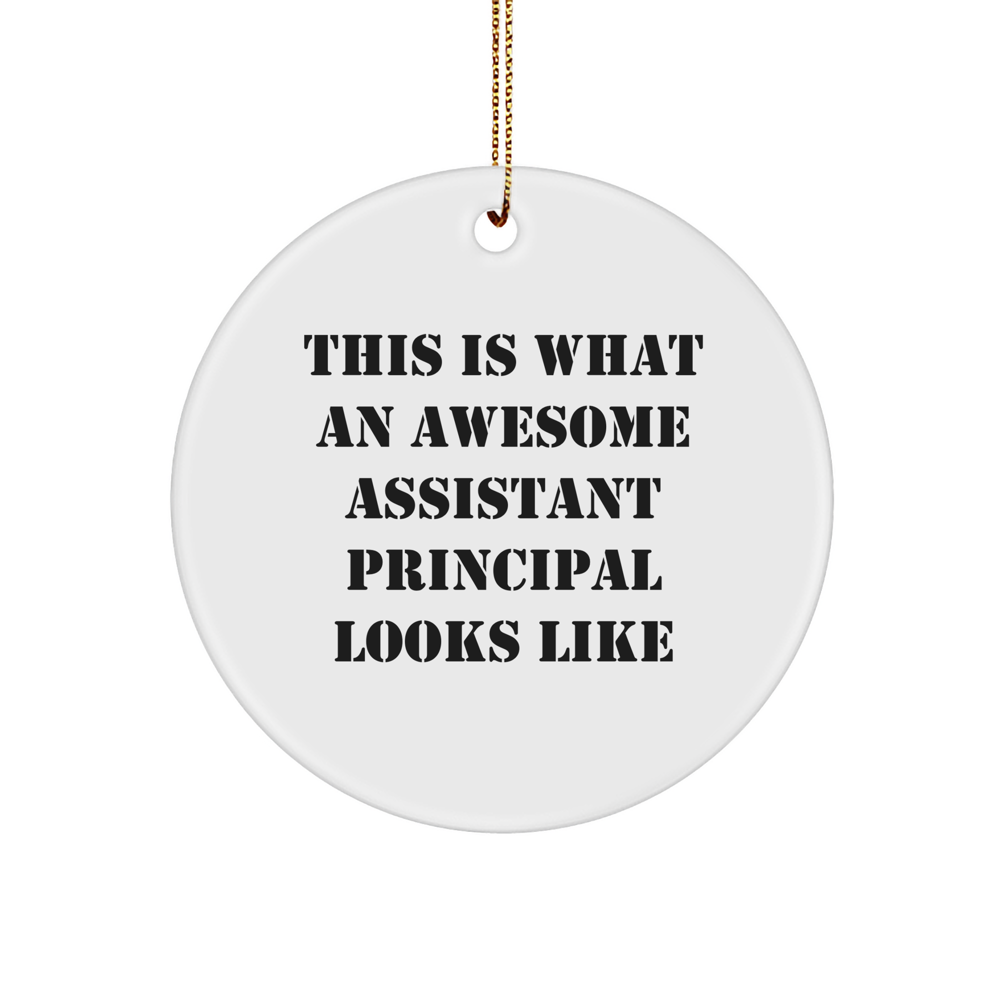 Funny Assistant Principal Gifts from Friends - Gifts for Assistant Principals, Circle Ornament with Inspirational Quote, Christmas Unique Gifts, Encouragement Ornaments for Home Decor - Image 1