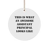 Funny Assistant Principal Gifts from Friends - Gifts for Assistant Principals, Circle Ornament with Inspirational Quote, Christmas Unique Gifts, Encouragement Ornaments for Home Decor - Image 1