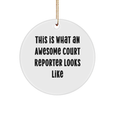 Funny Court Reporter Gifts from Friends - This Is What An Awesome Court Reporter Looks Like Circle Ornament for Court Reporters, Men, Women, or Coworkers, Unique Christmas Unique Gifts - Image 1