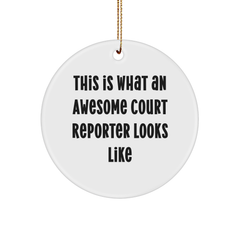 Funny Court Reporter Gifts from Friends - This Is What An Awesome Court Reporter Looks Like Circle Ornament for Court Reporters, Men, Women, or Coworkers, Unique Christmas Unique Gifts - Image 1