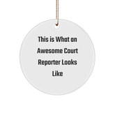 Funny Court Reporter Gifts, Circle Ornament, 'This Is What An Awesome Court Reporter Looks Like' Quote, Gifts from Friends, for Court Reporters, Christmas Unique Gifts - Image 1