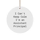 Funny Assistant Principal Gifts from Friends - I Can't Keep Calm I'm An Assistant Principal Circle Ornament, Christmas Unique Presents for Assistant Principal - Image 1