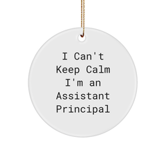 Funny Assistant Principal Gifts from Friends - I Can't Keep Calm I'm An Assistant Principal Circle Ornament, Christmas Unique Presents for Assistant Principal - Image 1