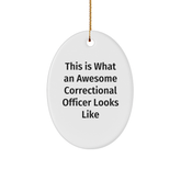 Funny Correctional Officer Gifts, Oval Ornament, 'This Is What An Awesome Correctional Officer Looks Like', Christmas Unique Gifts from Friends to Men - Image 1