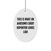 Funny Court Reporter Gifts from Friends, Court Reporter Oval Ornament with Quote This Is What An Awesome Court Reporter Looks Like, Christmas Unique Gifts for Court Reporters - Image 1