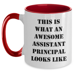 Awesome Assistant Principal Gifts from Friends - Funny Two Tone Coffee Mugs for Him, 'This Is What An Awesome Assistant Principal Looks Like' - Father's Day Unique Gifts - Main