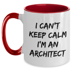 Funny Architect Gifts - I Can't Keep Calm I'm An Architect Two Tone Coffee Mug, Graduation Unique Gifts from Friends, Coworkers, Family to Men, Women, Professionals - Main