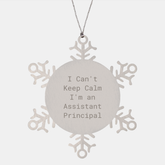Assistant Principal Funny Gifts I Can't Keep Calm Snowflake Ornaments for Him from Friends, Coworkers, Family, or Men Christmas Unique Gifts - Image 1
