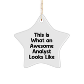 Funny Analyst Gifts from Friends, Star Ornament with Inspirational Quote, Perfect for Christmas Celebrations, Gifts for Men or Women, Unique Office Decor - Image 1