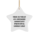 Funny Assistant Principal Gifts from Friends - Star Ornament This Is What An Awesome Assistant Principal Looks Like - Christmas Unique Gifts for Assistant Principal - Image 1