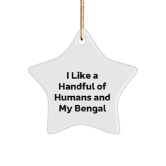 Bengal Cat Lovers' Christmas Unique Gift Ideas, Funny Quote, Star Ornament from Men to Family - Image 1