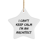 Funny Architect Gifts I Can't Keep Calm I'm An Architect Star Ornament for Men, Women, Friends, Coworkers, Family - Unique Christmas Unique Gifts from Friends, Family, or Coworkers for Architects - Image 1