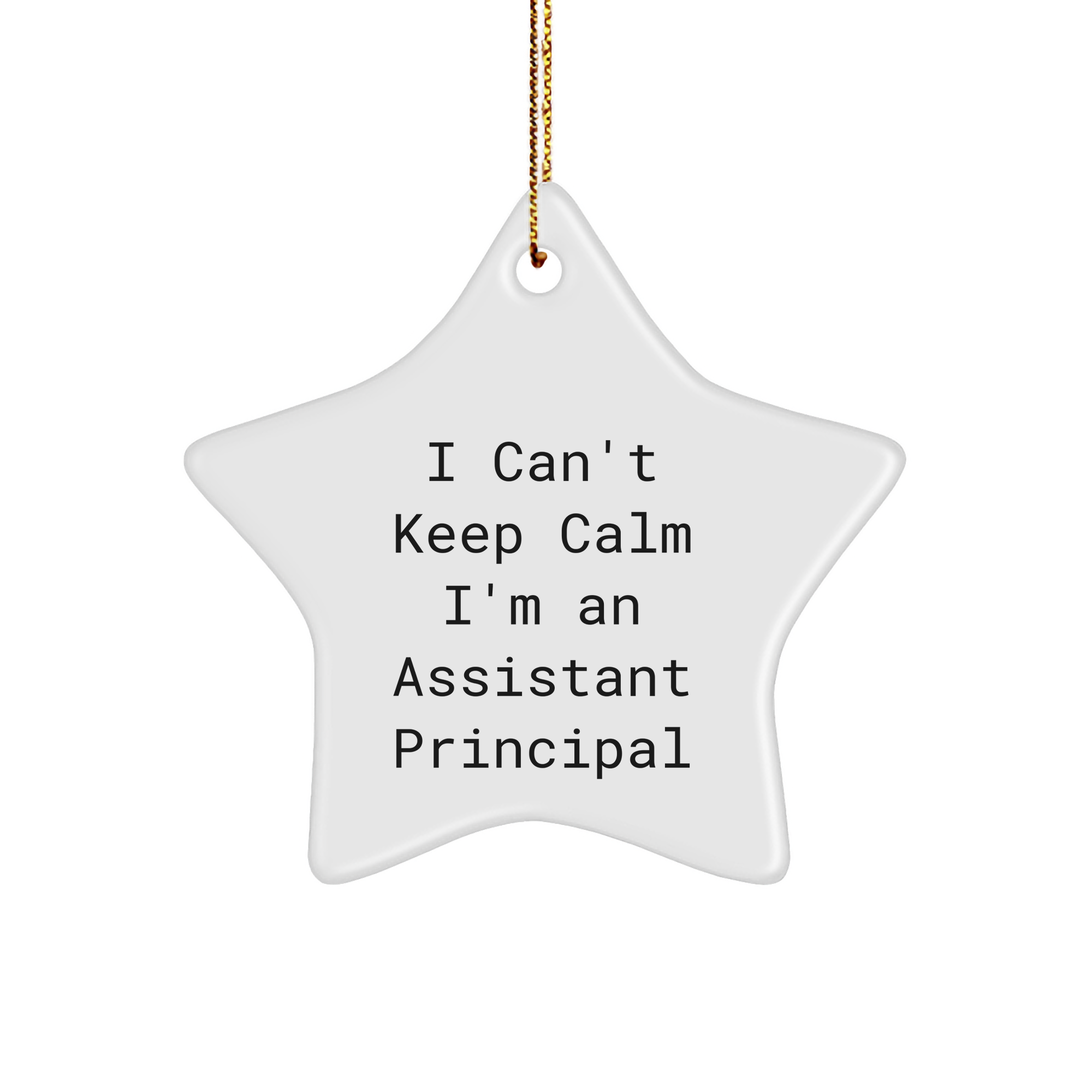 Funny Assistant Principal Gifts, 'I Can't Keep Calm I'm An Assistant Principal' Star Ornament, Gifts from Family to Assistant Principal, for Christmas - Image 1