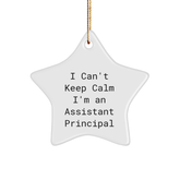 Funny Assistant Principal Gifts, 'I Can't Keep Calm I'm An Assistant Principal' Star Ornament, Gifts from Family to Assistant Principal, for Christmas - Image 1