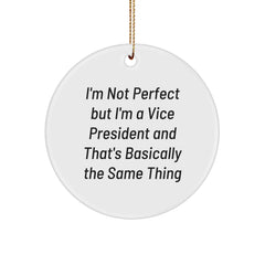 Vice President Gifts from Friends, Funny Circle Ornament for Christmas Unique Gifts - Image 1
