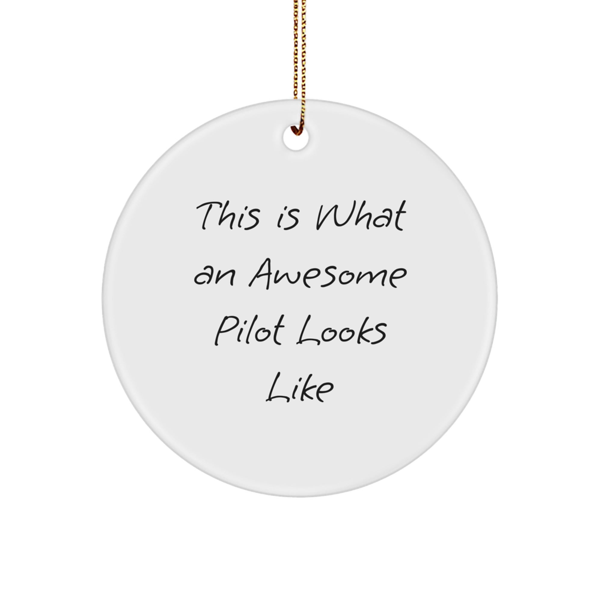 Pilot Gifts from Friends, Christmas Unique Circle Ornament with Quote 'This Is What An Awesome Pilot Looks Like', Perfect for Men, Women, Co-workers, and Family - Image 1