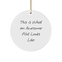 Pilot Gifts from Friends, Christmas Unique Circle Ornament with Quote 'This Is What An Awesome Pilot Looks Like', Perfect for Men, Women, Co-workers, and Family - Image 1