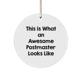 Funny Postmaster Gifts from Friends, This Is What An Awesome Postmaster Looks Like Circle Ornament, Christmas Unique Gifts for Postmaster - Image 1