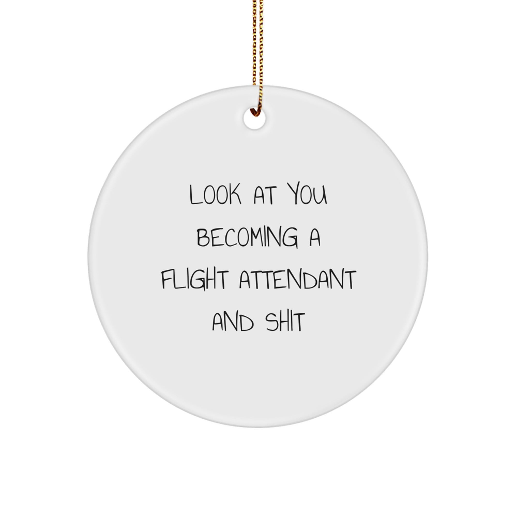 Funny Flight Attendant Circle Ornaments Gifts from Friends, Coworkers to Flight Attendant, Men, Women for Christmas Decoration - Image 1