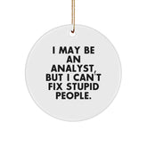 Funny Analyst Gifts for Coworkers - I May Be An Analyst, But I Can't Fix Stupid People. Christmas Circle Ornament for Friends, Family, Men, Women - Image 1