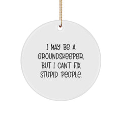 Funny groundskeeper Christmas Unique Gifts for Men, I May Be A groundskeeper, But I Can't Fix Stupid People. - Circle Ornament Gifts from Friends, Coworkers to groundskeeper - Image 1