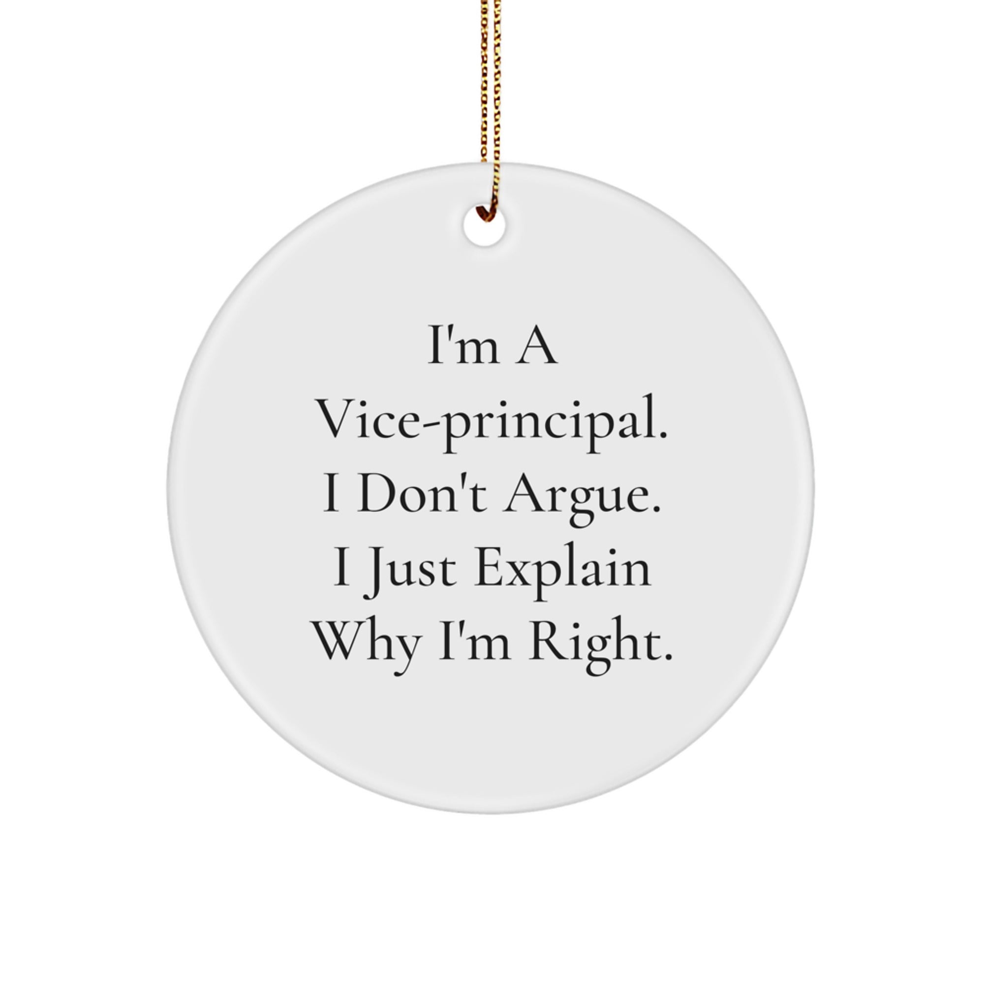 Funny Vice-principal Gifts from Friends for Christmas Unique Circle Ornament, Vice-principal Quote, Office Decor, Vice-principal Christmas Unique Gifts, Funny Circle Ornament - Image 1