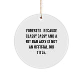 Forester Gifts, Funny Circle Ornaments for Men, Unique Christmas Memorable Presents for Forester Friends, Family, Coworkers - Image 1