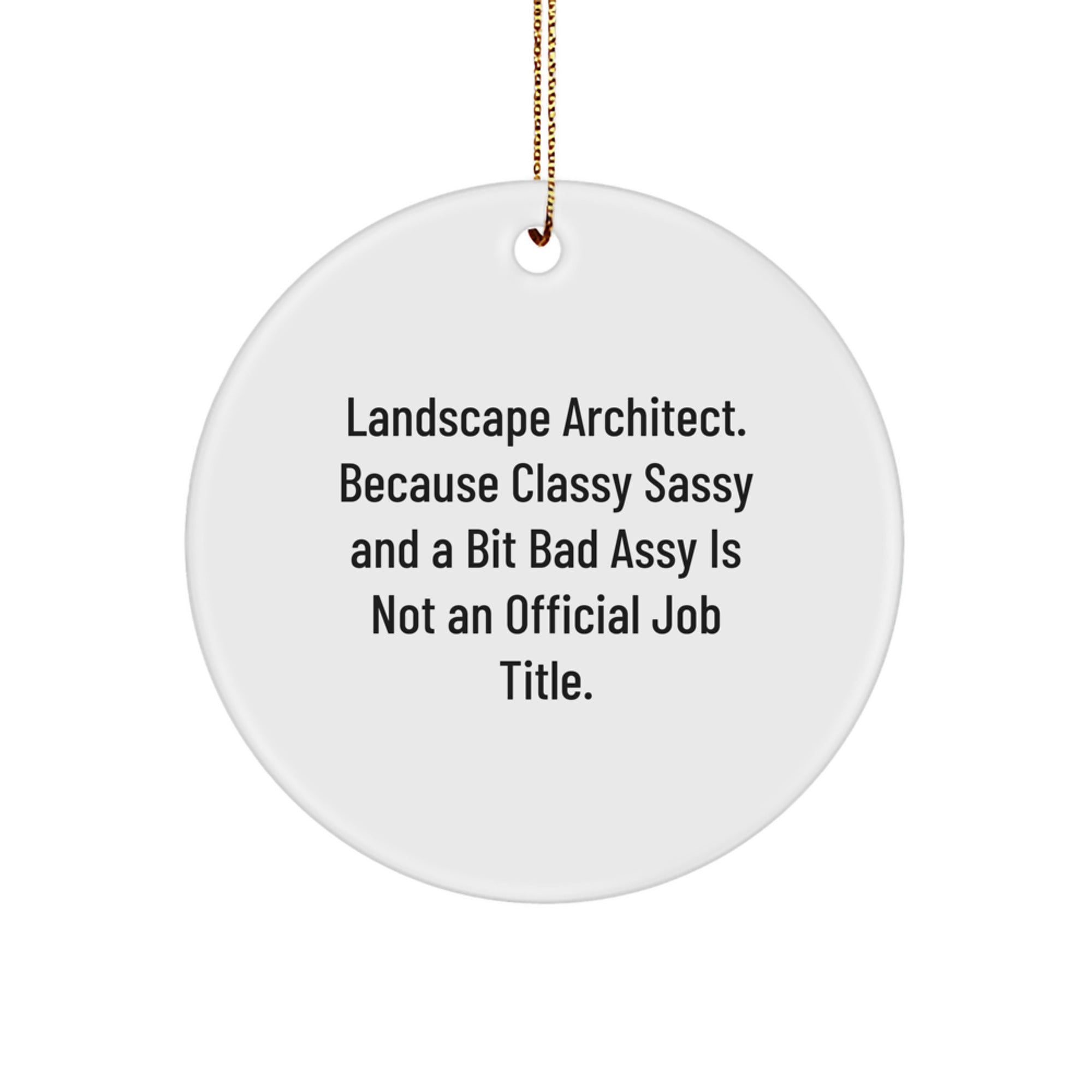 Funny Landscape Architect Gifts - Gifts from Friends for Men - Quote: Classy Sassy And A Bit Fearlessy Is Not An Official Job Title, Unique Christmas Ornaments for Home - Image 1