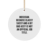Funny Musician Gifts for Men - Musician Circle Ornament, Christmas Unique Gifts from Friends for Musician - Image 1