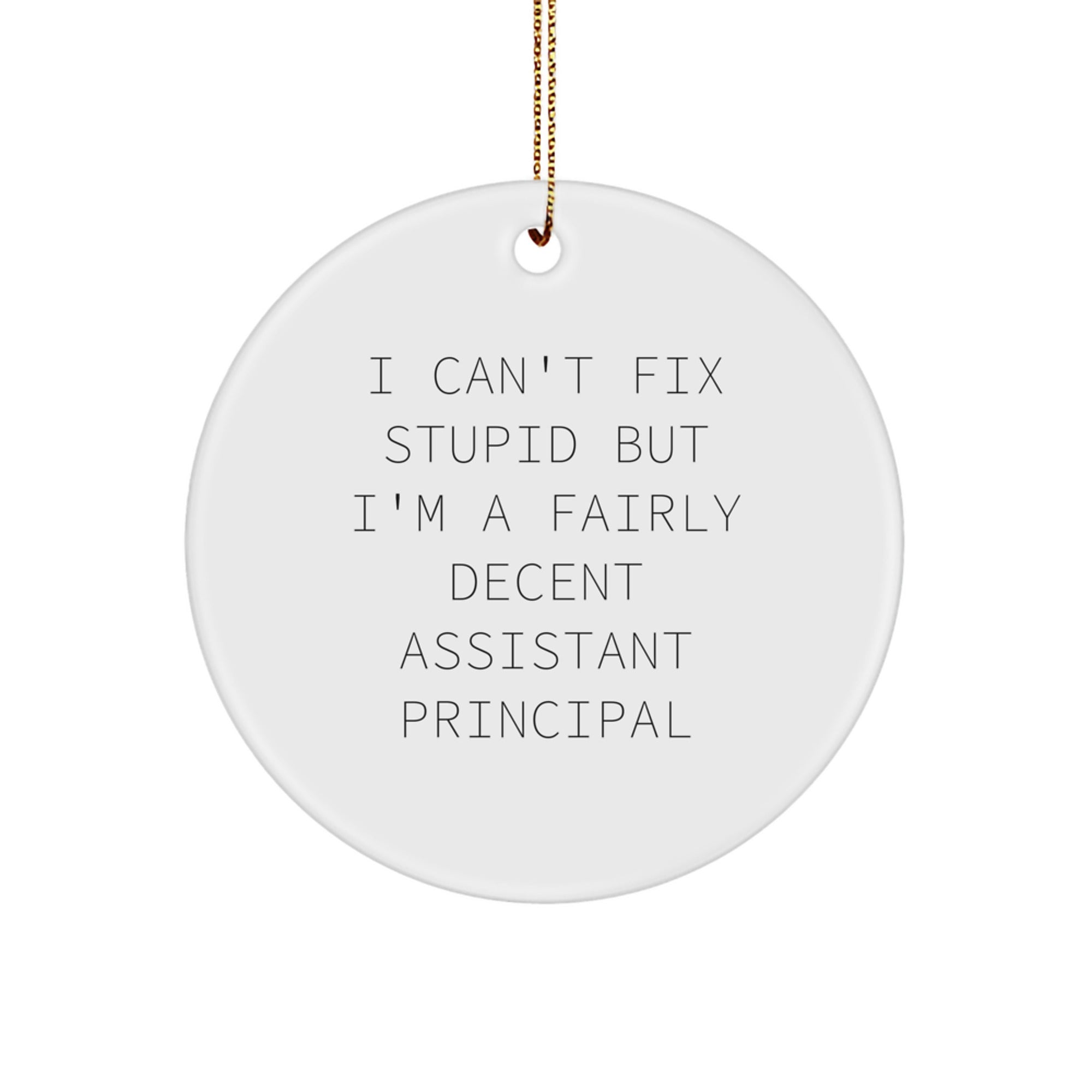 Funny Assistant Principal Gifts from Friends for Christmas Circle Ornament I Can't Fix Stupid But I'm A Fairly Decent Assistant Principal - Image 1