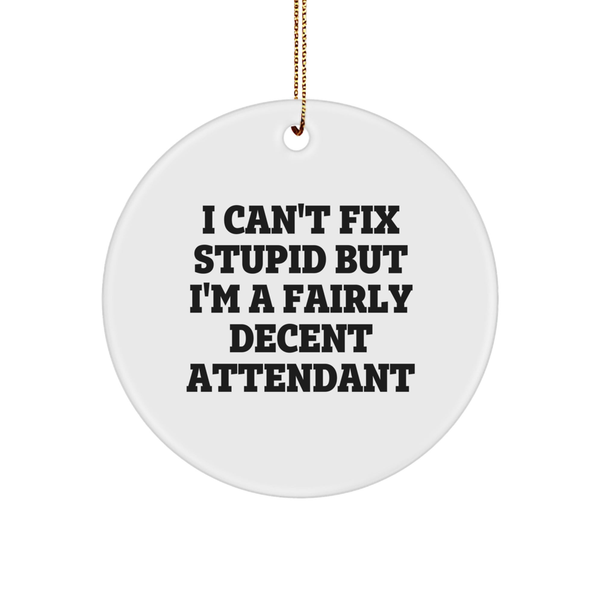 Funny Attendant Gifts for Friends, Coworkers, and Family - 'I Can't Fix Stupid' Circle Ornament, White, Christmas Unique Gifts from Men - Image 1
