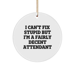 Funny Attendant Gifts for Friends, Coworkers, and Family - 'I Can't Fix Stupid' Circle Ornament, White, Christmas Unique Gifts from Men - Image 1