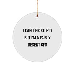 Funny CFO Gifts for Men - 'I Can't Fix Stupid' Christmas Circle Ornament, CFO Office Decor, CFO Gift, CFO Humor - Image 1