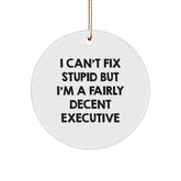 Funny Executive Christmas Unique Gifts from Friends to Coworkers, Executive Humor Circle Ornament for Men, Women, or Family - Image 1