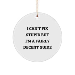 Funny Guide Gifts for Men, Women, Friends, or Family - 'I Can't Fix Stupid' Circle Ornament, Unique Christmas Decorations - Image 1