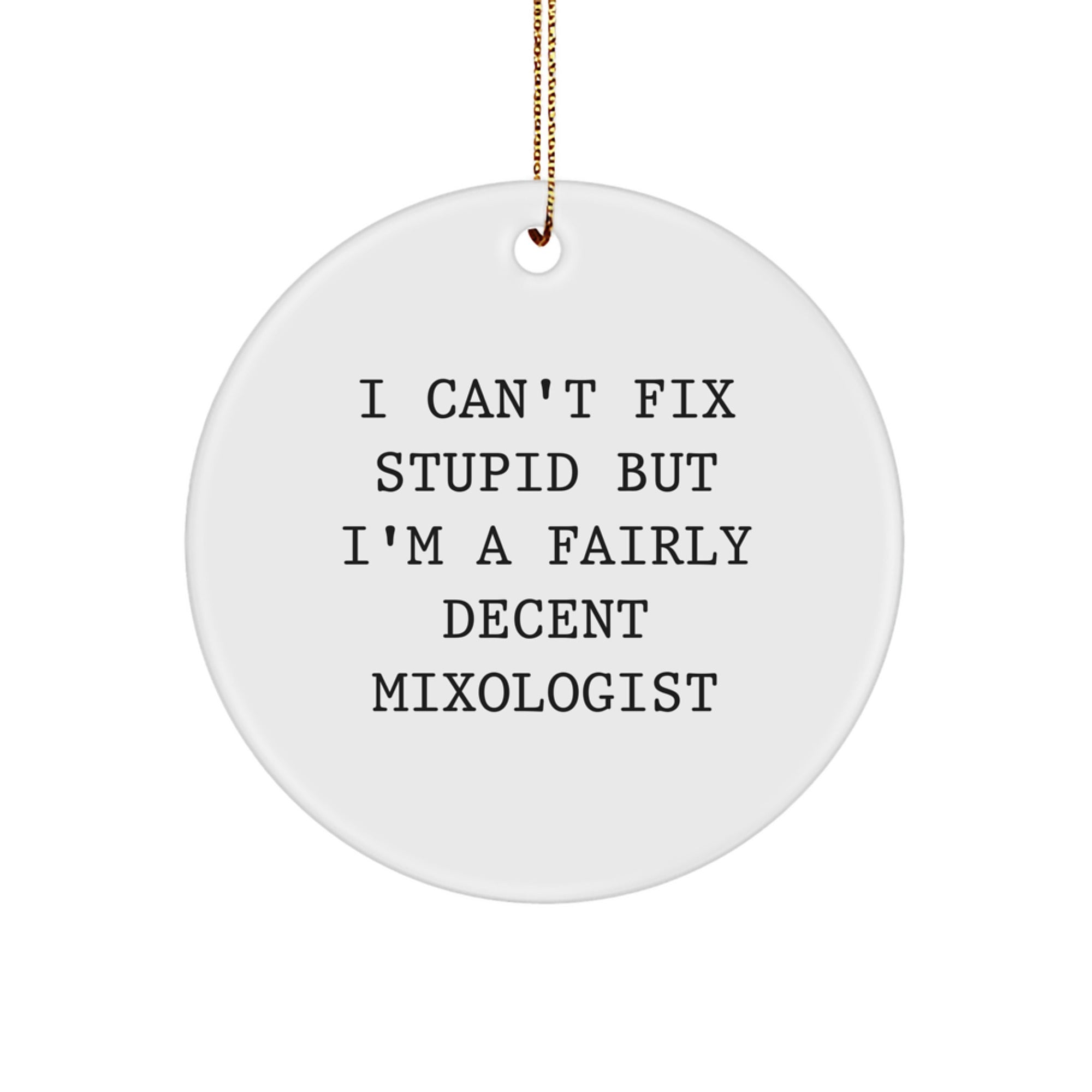 Funny Mixologist Gifts from Men for Him, I Can't Fix Stupid But I'm A Fairly Decent Mixologist Christmas Unique Ornaments, Circle Ornaments for Cocktail Enthusiasts - Image 1