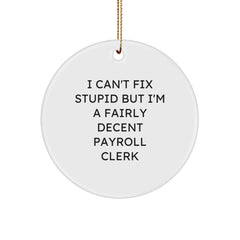 Funny Payroll Clerk Gifts for Men, Women, Friends, Coworkers, Family - I Can't Fix Stupid But I'm A Fairly Decent Payroll Clerk Christmas Unique Circle Ornament - Image 1