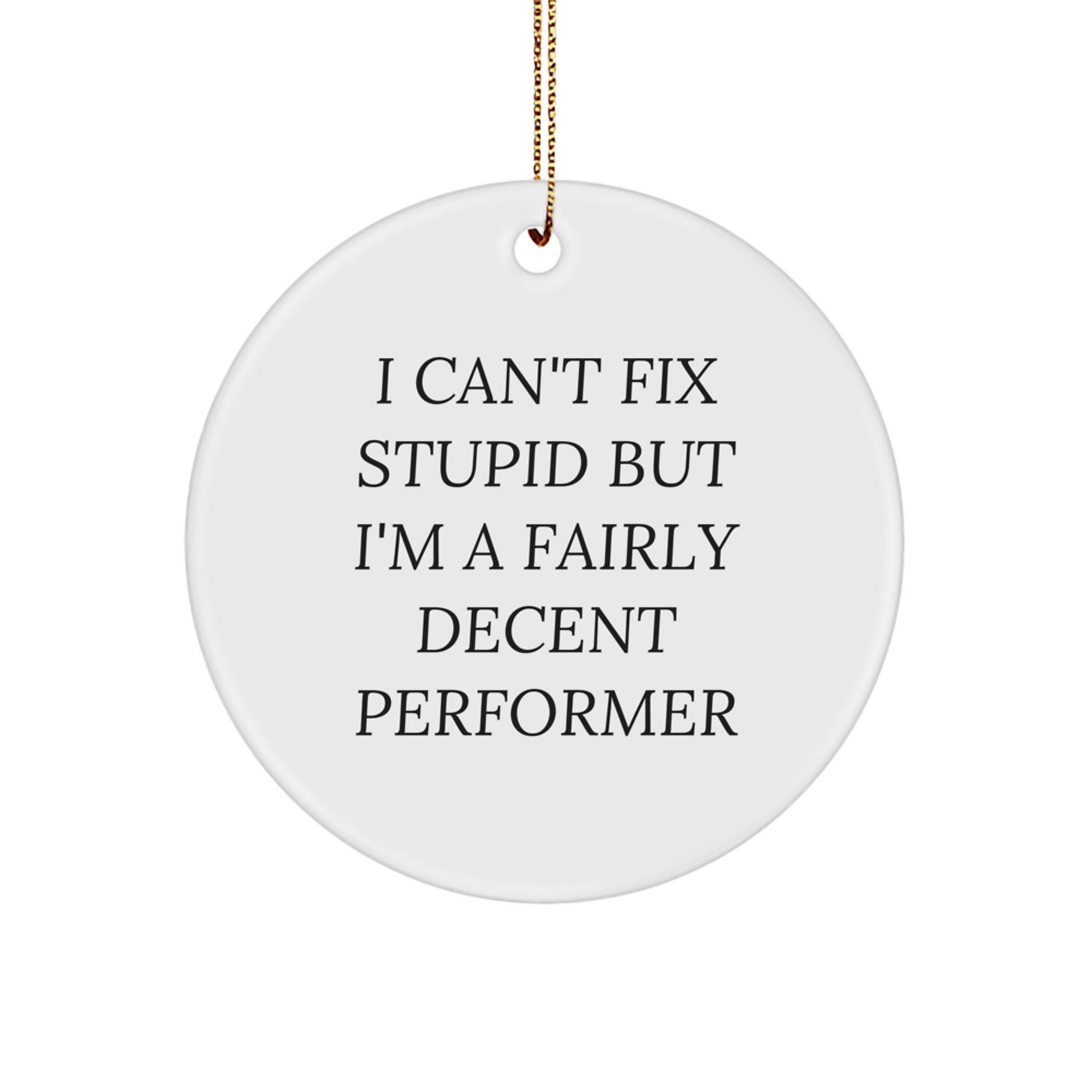 Funny Performer Gifts from Friends for Men, I Can't Fix Stupid But I'm A Fairly Decent Performer, Circle Ornament, Christmas Unique - Image 1