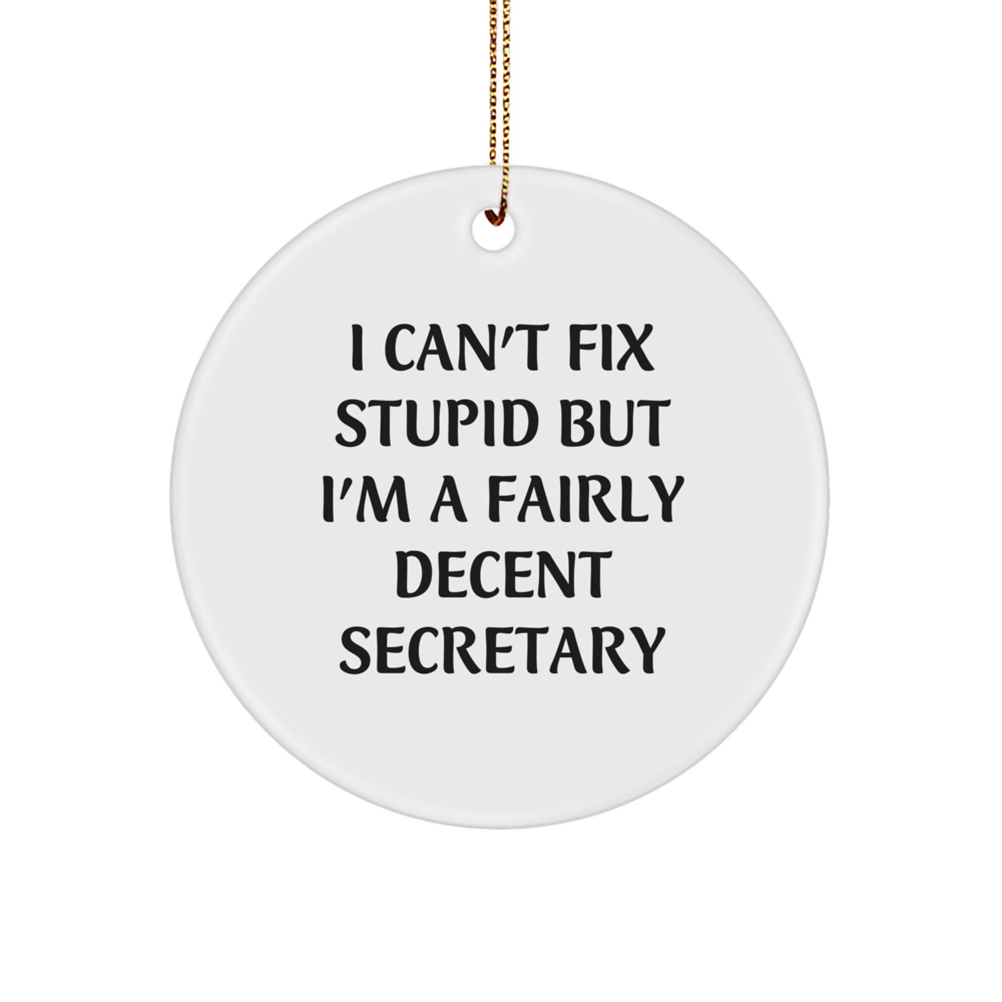 Funny Secretary Gifts from Friends - I Can't Fix Stupid But I'm A Fairly Decent Secretary Circle Ornament for Christmas - Image 1