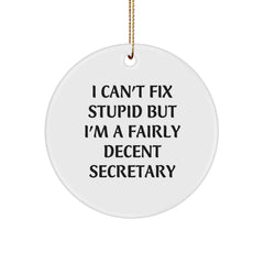 Funny Secretary Gifts from Friends - I Can't Fix Stupid But I'm A Fairly Decent Secretary Circle Ornament for Christmas - Image 1
