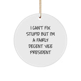 Vice President Gifts from Friends - I Can't Fix Stupid But I'm A Fairly Decent Circle Ornament, Funny Quote, Christmas Unique Gifts for Men, Women, Coworkers, Family - Image 1