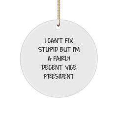 Vice President Gifts from Friends - I Can't Fix Stupid But I'm A Fairly Decent Circle Ornament, Funny Quote, Christmas Unique Gifts for Men, Women, Coworkers, Family - Image 1