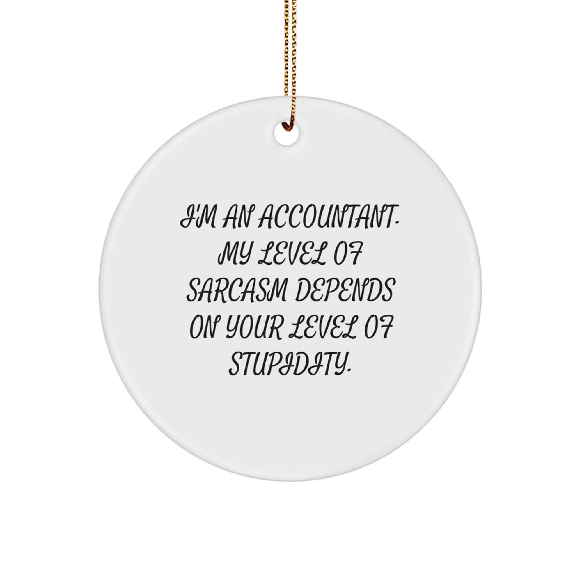 Accountant Gifts: Funny Circle Ornament for Christmas, 'I'm an Accountant...', Ideal Gifts from Friends for Accountant, Gifts for Men, Accountant Humor Ornaments - Image 1
