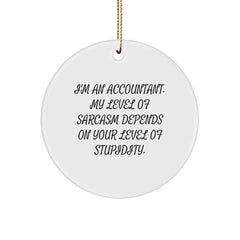 Accountant Gifts: Funny Circle Ornament for Christmas, 'I'm an Accountant...', Ideal Gifts from Friends for Accountant, Gifts for Men, Accountant Humor Ornaments - Image 1