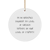 Aerospace Engineer Gifts from Friends, Unique Christmas Circle Ornament with Sarcasm Quote, Funny Holiday Present for Men, Women, or Coworkers - Image 1